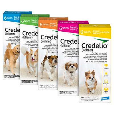 credelio flea tick